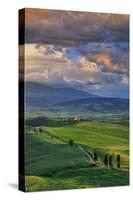 Italy, Tuscany, Siena District, Orcia Valley, Country Road Near Pienza.-Francesco Iacobelli-Stretched Canvas
