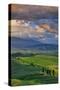 Italy, Tuscany, Siena District, Orcia Valley, Country Road Near Pienza.-Francesco Iacobelli-Stretched Canvas
