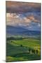 Italy, Tuscany, Siena District, Orcia Valley, Country Road Near Pienza.-Francesco Iacobelli-Mounted Photographic Print