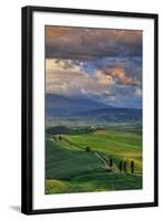 Italy, Tuscany, Siena District, Orcia Valley, Country Road Near Pienza.-Francesco Iacobelli-Framed Photographic Print