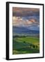 Italy, Tuscany, Siena District, Orcia Valley, Country Road Near Pienza.-Francesco Iacobelli-Framed Photographic Print