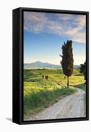 Italy, Tuscany, Siena District, Orcia Valley, Country Road Near Pienza.-Francesco Iacobelli-Framed Stretched Canvas