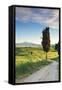 Italy, Tuscany, Siena District, Orcia Valley, Country Road Near Pienza.-Francesco Iacobelli-Framed Stretched Canvas