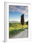 Italy, Tuscany, Siena District, Orcia Valley, Country Road Near Pienza.-Francesco Iacobelli-Framed Photographic Print