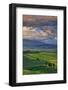 Italy, Tuscany, Siena District, Orcia Valley, Country Road Near Pienza.-Francesco Iacobelli-Framed Photographic Print