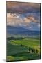 Italy, Tuscany, Siena District, Orcia Valley, Country Road Near Pienza.-Francesco Iacobelli-Mounted Photographic Print