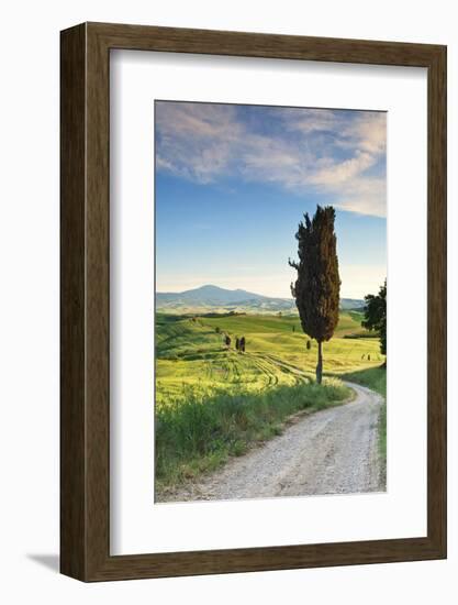 Italy, Tuscany, Siena District, Orcia Valley, Country Road Near Pienza.-Francesco Iacobelli-Framed Photographic Print