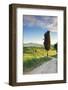 Italy, Tuscany, Siena District, Orcia Valley, Country Road Near Pienza.-Francesco Iacobelli-Framed Photographic Print