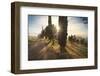 Italy, Tuscany, Siena District, Orcia Valley, Countryroad Near San Quirico D'Orcia.-Francesco Iacobelli-Framed Photographic Print