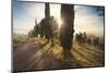 Italy, Tuscany, Siena District, Orcia Valley, Countryroad Near San Quirico D'Orcia.-Francesco Iacobelli-Mounted Photographic Print