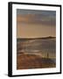 Italy, Tuscany, Siena District, Orcia Valley, Countryside-Francesco Iacobelli-Framed Photographic Print