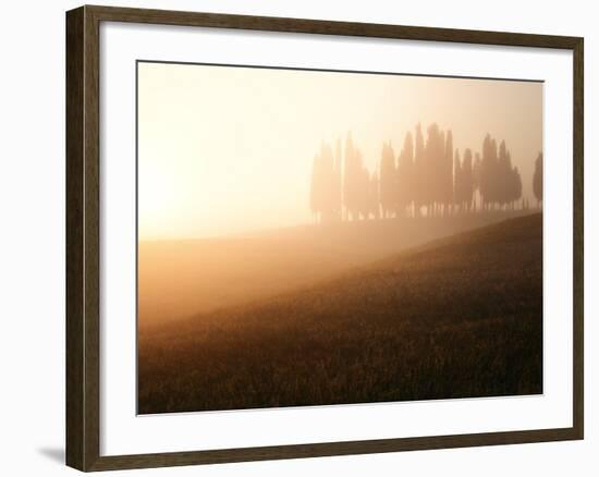 Italy, Tuscany, Siena District, Orcia Valley, Cypress on the Hill Near San Quirico D'Orcia-Francesco Iacobelli-Framed Photographic Print