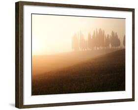 Italy, Tuscany, Siena District, Orcia Valley, Cypress on the Hill Near San Quirico D'Orcia-Francesco Iacobelli-Framed Photographic Print