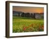 Italy, Tuscany, Siena District, Orcia Valley, Cypress on the Hill Near San Quirico D'Orcia-Francesco Iacobelli-Framed Photographic Print