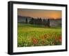 Italy, Tuscany, Siena District, Orcia Valley, Cypress on the Hill Near San Quirico D'Orcia-Francesco Iacobelli-Framed Photographic Print