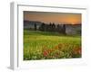 Italy, Tuscany, Siena District, Orcia Valley, Cypress on the Hill Near San Quirico D'Orcia-Francesco Iacobelli-Framed Photographic Print