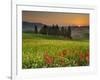 Italy, Tuscany, Siena District, Orcia Valley, Cypress on the Hill Near San Quirico D'Orcia-Francesco Iacobelli-Framed Photographic Print