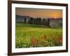 Italy, Tuscany, Siena District, Orcia Valley, Cypress on the Hill Near San Quirico D'Orcia-Francesco Iacobelli-Framed Photographic Print