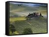 Italy, Tuscany, Siena District, Orcia Valley, Podere Belvedere Near San Quirico D'Orcia-Francesco Iacobelli-Framed Stretched Canvas