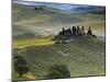 Italy, Tuscany, Siena District, Orcia Valley, Podere Belvedere Near San Quirico D'Orcia-Francesco Iacobelli-Mounted Photographic Print