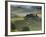 Italy, Tuscany, Siena District, Orcia Valley, Podere Belvedere Near San Quirico D'Orcia-Francesco Iacobelli-Framed Photographic Print