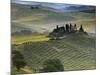 Italy, Tuscany, Siena District, Orcia Valley, Podere Belvedere Near San Quirico D'Orcia-Francesco Iacobelli-Mounted Photographic Print