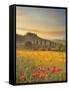 Italy, Tuscany, Siena District, Orcia Valley, Podere Belvedere Near San Quirico D'Orcia-Francesco Iacobelli-Framed Stretched Canvas