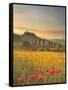 Italy, Tuscany, Siena District, Orcia Valley, Podere Belvedere Near San Quirico D'Orcia-Francesco Iacobelli-Framed Stretched Canvas