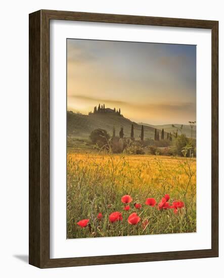 Italy, Tuscany, Siena District, Orcia Valley, Podere Belvedere Near San Quirico D'Orcia-Francesco Iacobelli-Framed Photographic Print