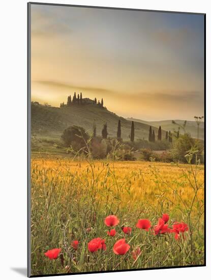 Italy, Tuscany, Siena District, Orcia Valley, Podere Belvedere Near San Quirico D'Orcia-Francesco Iacobelli-Mounted Photographic Print