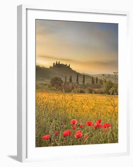 Italy, Tuscany, Siena District, Orcia Valley, Podere Belvedere Near San Quirico D'Orcia-Francesco Iacobelli-Framed Photographic Print