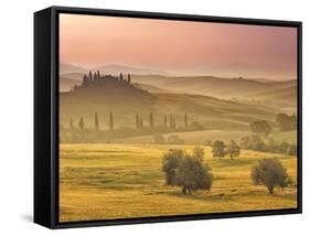 Italy, Tuscany, Siena District, Orcia Valley, Podere Belvedere Near San Quirico D'Orcia-Francesco Iacobelli-Framed Stretched Canvas