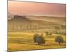 Italy, Tuscany, Siena District, Orcia Valley, Podere Belvedere Near San Quirico D'Orcia-Francesco Iacobelli-Mounted Photographic Print