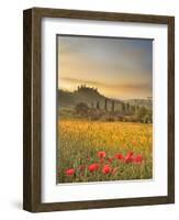 Italy, Tuscany, Siena District, Orcia Valley, Podere Belvedere Near San Quirico D'Orcia-Francesco Iacobelli-Framed Photographic Print