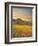 Italy, Tuscany, Siena District, Orcia Valley, Podere Belvedere Near San Quirico D'Orcia-Francesco Iacobelli-Framed Photographic Print