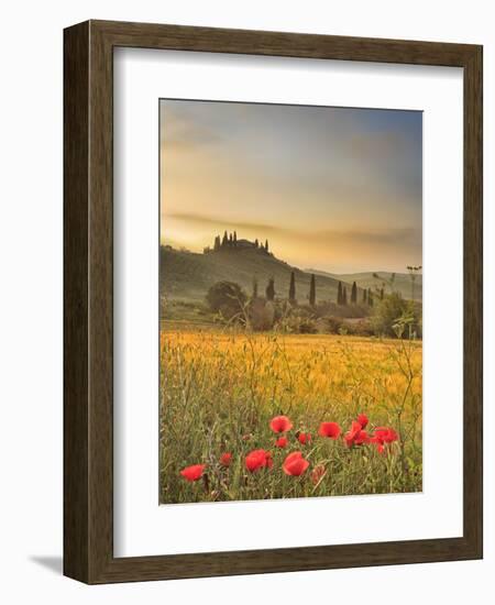 Italy, Tuscany, Siena District, Orcia Valley, Podere Belvedere Near San Quirico D'Orcia-Francesco Iacobelli-Framed Photographic Print