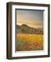 Italy, Tuscany, Siena District, Orcia Valley, Podere Belvedere Near San Quirico D'Orcia-Francesco Iacobelli-Framed Photographic Print