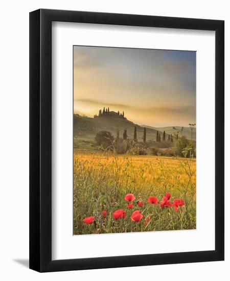 Italy, Tuscany, Siena District, Orcia Valley, Podere Belvedere Near San Quirico D'Orcia-Francesco Iacobelli-Framed Photographic Print