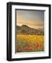 Italy, Tuscany, Siena District, Orcia Valley, Podere Belvedere Near San Quirico D'Orcia-Francesco Iacobelli-Framed Photographic Print