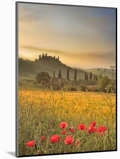 Italy, Tuscany, Siena District, Orcia Valley, Podere Belvedere Near San Quirico D'Orcia-Francesco Iacobelli-Mounted Photographic Print