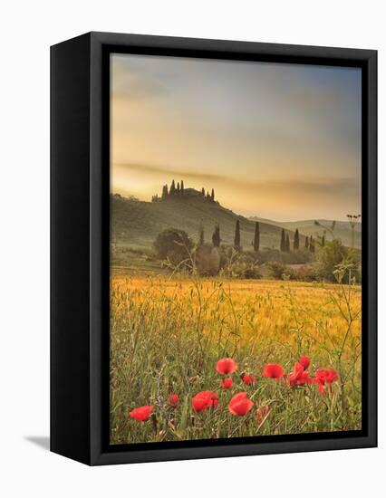 Italy, Tuscany, Siena District, Orcia Valley, Podere Belvedere Near San Quirico D'Orcia-Francesco Iacobelli-Framed Stretched Canvas