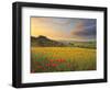 Italy, Tuscany, Siena District, Orcia Valley, Podere Belvedere Near San Quirico D'Orcia-Francesco Iacobelli-Framed Photographic Print