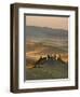 Italy, Tuscany, Siena District, Orcia Valley, Podere Belvedere Near San Quirico D'Orcia-Francesco Iacobelli-Framed Photographic Print