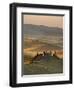 Italy, Tuscany, Siena District, Orcia Valley, Podere Belvedere Near San Quirico D'Orcia-Francesco Iacobelli-Framed Photographic Print