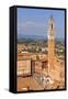 Italy, Tuscany, Siena District, Siena. Town Hall and Torre Del Mangia.-Francesco Iacobelli-Framed Stretched Canvas