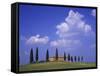 Italy, Tuscany, Siena, Pienza, Grange Province-Udo Siebig-Framed Stretched Canvas