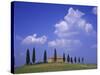 Italy, Tuscany, Siena, Pienza, Grange Province-Udo Siebig-Stretched Canvas