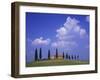 Italy, Tuscany, Siena, Pienza, Grange Province-Udo Siebig-Framed Photographic Print