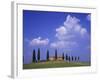 Italy, Tuscany, Siena, Pienza, Grange Province-Udo Siebig-Framed Photographic Print