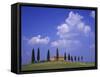 Italy, Tuscany, Siena, Pienza, Grange Province-Udo Siebig-Framed Stretched Canvas